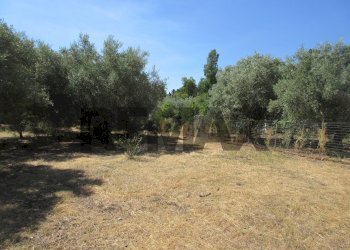 Giardino - Terreno agricolo via salafia
 
s.n.c., Melilli - foto 29
