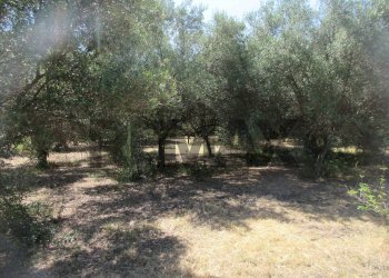 Giardino - Terreno agricolo via salafia
 
s.n.c., Melilli - foto 30