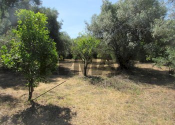 Giardino - Terreno agricolo via salafia
 
s.n.c., Melilli - foto 32