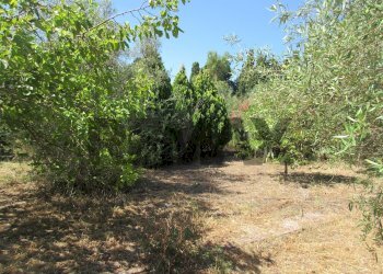Giardino - Terreno agricolo via salafia
 
s.n.c., Melilli - foto 33