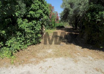 Giardino - Terreno agricolo via salafia
 
s.n.c., Melilli - foto 37