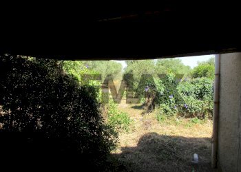 Giardino - Terreno agricolo via salafia
 
s.n.c., Melilli - foto 38