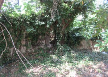 Giardino - Terreno agricolo via salafia
 
s.n.c., Melilli - foto 45