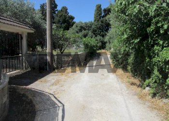 Non correlato - Terreno agricolo via salafia
 
s.n.c., Melilli - foto 49