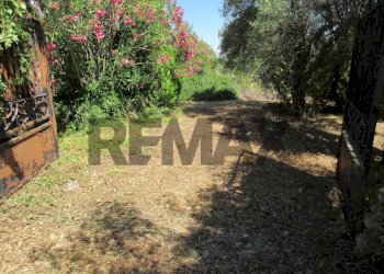 Giardino - Terreno agricolo via salafia
 
s.n.c., Melilli - foto 50