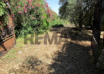 Giardino - Terreno agricolo via salafia
 
s.n.c., Melilli - foto 51