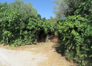 Giardino - Terreno agricolo via salafia
 
s.n.c., Melilli - foto 54