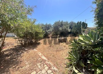 Giardino - Terreno edificabile via Dell' Agata
s.n, Siracusa - foto 5