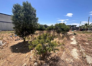 Giardino - Terreno edificabile via Dell' Agata
s.n, Siracusa - foto 9