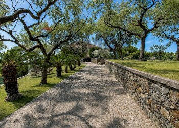 Giardino - Villa VIA LIVIO CANALE
 
72, Varazze - photo 28