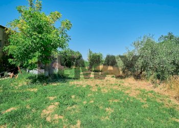 Giardino - Semi-detached house Via Sant'Antonio
 
46, Ari - photo 9