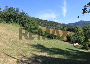 Vista delle montagne - Independent house strada brianzi aldo
 
s.n.c., Palanzano - photo 6