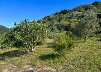 Foto 3 - Terreno agricolo LOC. MURAGATTA
 
SNC, Codrongianos - foto 3