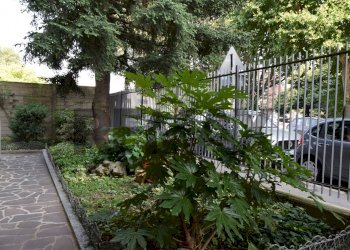 Giardino - Laboratorio VIA HERMADA
19, Milano - foto 11