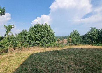 Terreno - Rustic via Variala, Mombercelli - photo 15