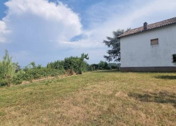 Terreno - Rustic via Variala, Mombercelli - photo 16
