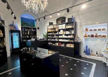 Interno non residenziale - Food - Gastronomy Sanremo - photo 4