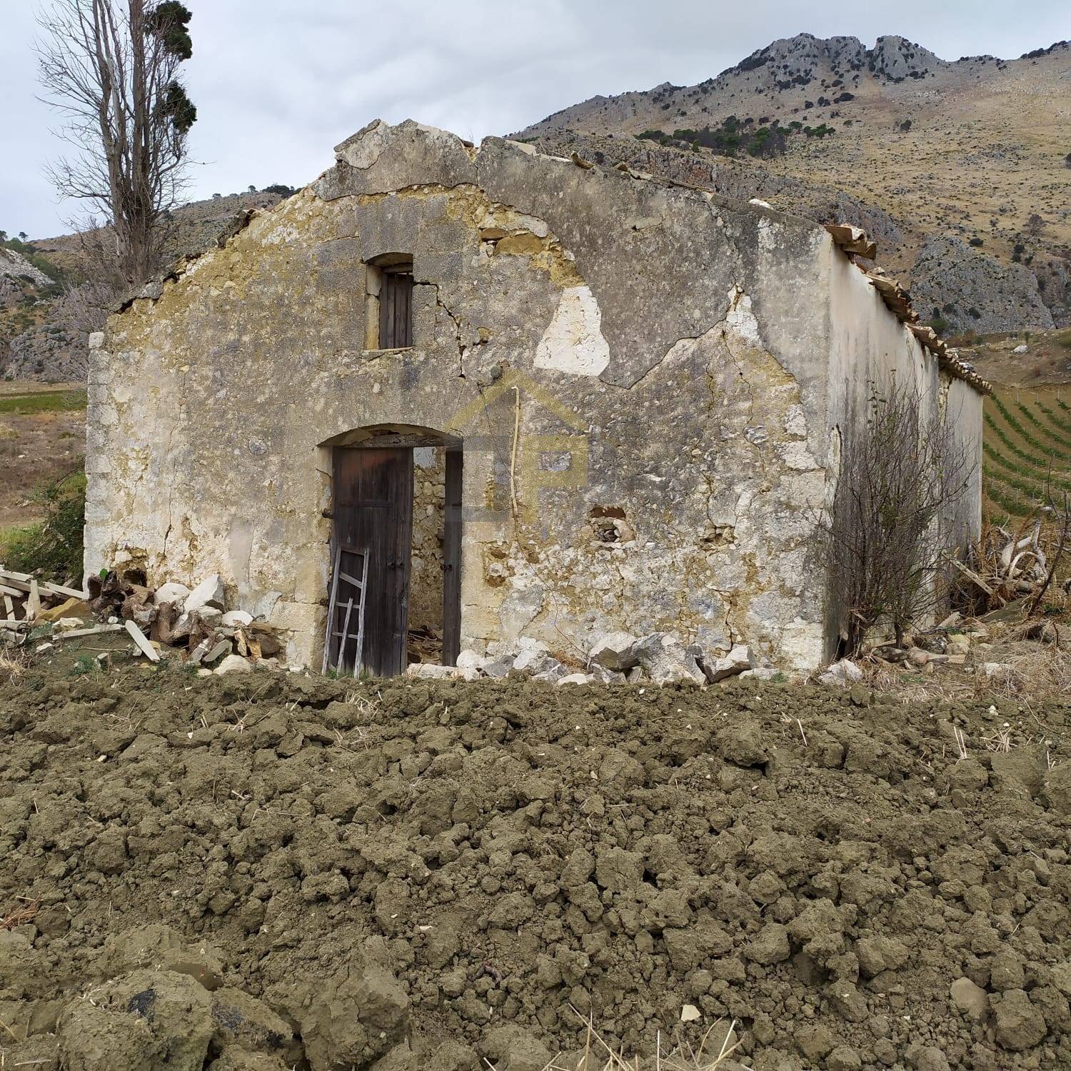 Foto 1 - Magazzino Contrada Ciacca Di Baida
 
SNC, Castellammare del Golfo - foto 1