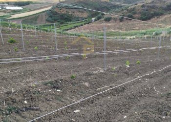 Foto 10 - Magazzino Contrada Ciacca Di Baida
SNC, Castellammare del Golfo - foto 10