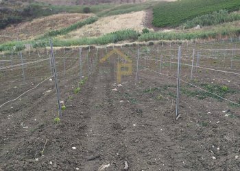 Foto 11 - Magazzino Contrada Ciacca Di Baida
SNC, Castellammare del Golfo - foto 11