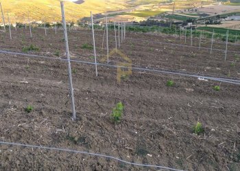 Foto 12 - Magazzino Contrada Ciacca Di Baida
SNC, Castellammare del Golfo - foto 12