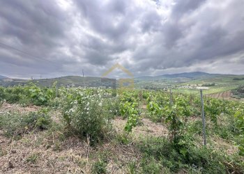 Foto 13 - Magazzino Contrada Ciacca Di Baida
SNC, Castellammare del Golfo - foto 13