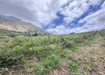 Foto 14 - Magazzino Contrada Ciacca Di Baida
SNC, Castellammare del Golfo - foto 14