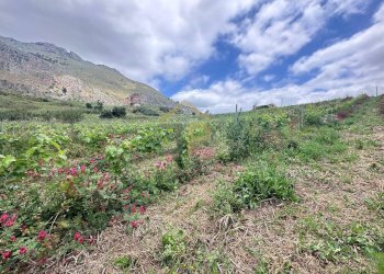 Foto 15 - Magazzino Contrada Ciacca Di Baida
SNC, Castellammare del Golfo - foto 15