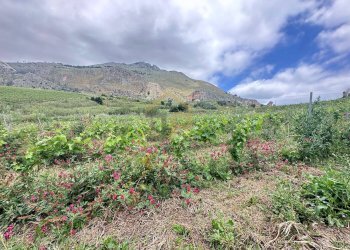 Foto 16 - Magazzino Contrada Ciacca Di Baida
SNC, Castellammare del Golfo - foto 16