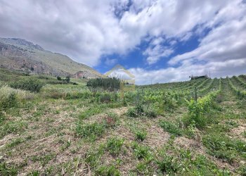 Foto 17 - Magazzino Contrada Ciacca Di Baida
SNC, Castellammare del Golfo - foto 17