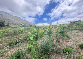 Foto 21 - Magazzino Contrada Ciacca Di Baida
SNC, Castellammare del Golfo - foto 21