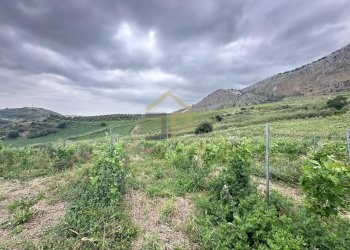 Foto 25 - Magazzino Contrada Ciacca Di Baida
SNC, Castellammare del Golfo - foto 25