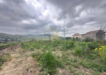 Foto 26 - Magazzino Contrada Ciacca Di Baida
SNC, Castellammare del Golfo - foto 26