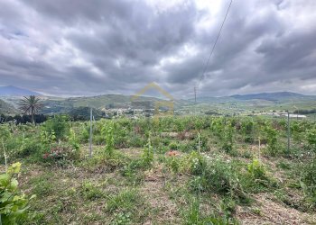 Foto 28 - Magazzino Contrada Ciacca Di Baida
SNC, Castellammare del Golfo - foto 28