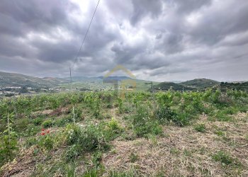 Foto 29 - Magazzino Contrada Ciacca Di Baida
SNC, Castellammare del Golfo - foto 29