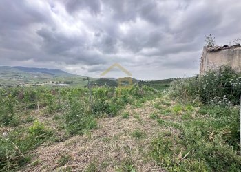Foto 30 - Magazzino Contrada Ciacca Di Baida
SNC, Castellammare del Golfo - foto 30