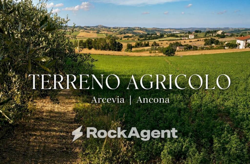 Terreno - Agricultural land Frazione Montale, 136, Arcevia - photo 1