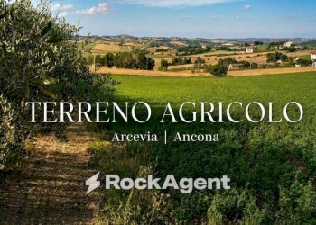 Terreno - Agricultural land Frazione Montale, 136, Arcevia - photo 1