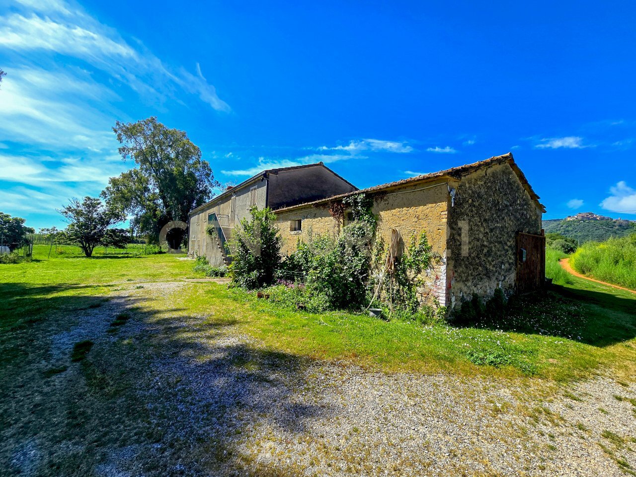 podere castiglione-32 - Villa Località Vaticino 11, Castiglione della Pescaia - foto 1