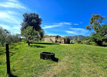 podere castiglione-33 - Villa Località Vaticino 11, Castiglione della Pescaia - foto 6