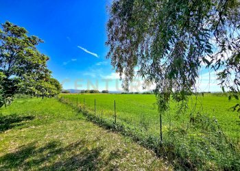 podere castiglione-29 - Villa Località Vaticino 11, Castiglione della Pescaia - foto 7