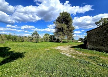 podere castiglione-21 - Villa Località Vaticino 11, Castiglione della Pescaia - foto 8
