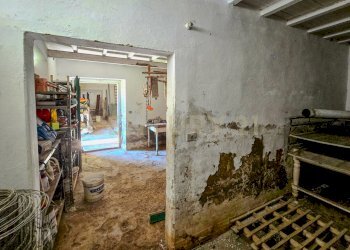 podere castiglione-16 - Villa Località Vaticino 11, Castiglione della Pescaia - foto 25