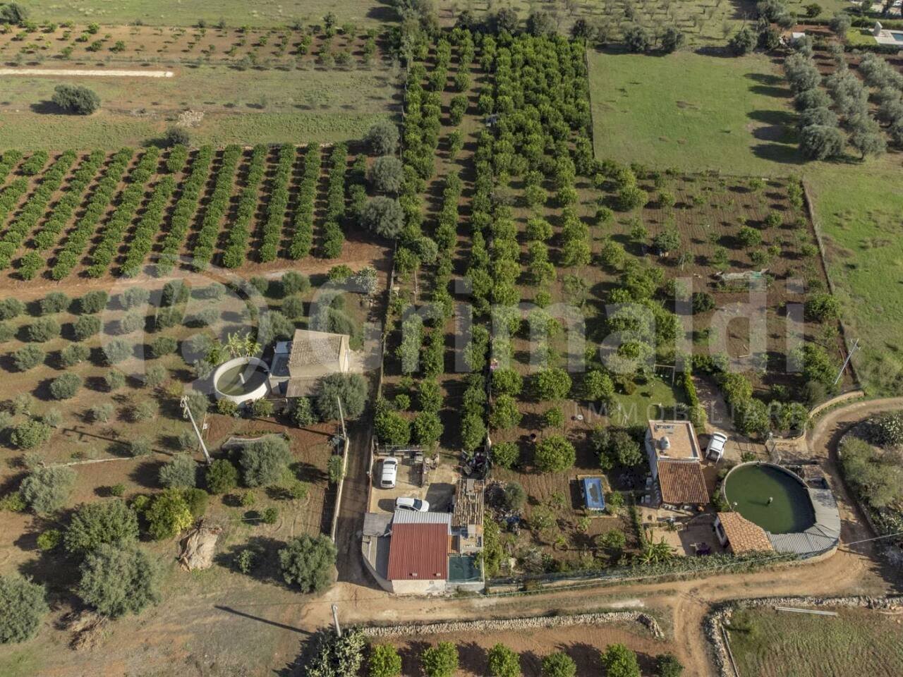 1.jpg - Terreno edificabile Via dulcamara 45, Noto - foto 1