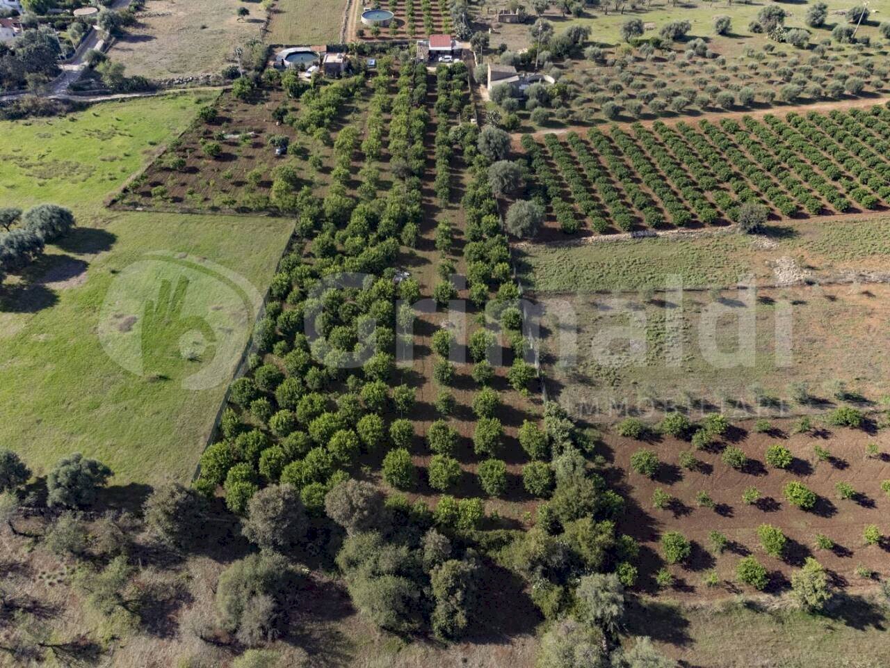 2.jpg - Terreno edificabile Via dulcamara 45, Noto - foto 2
