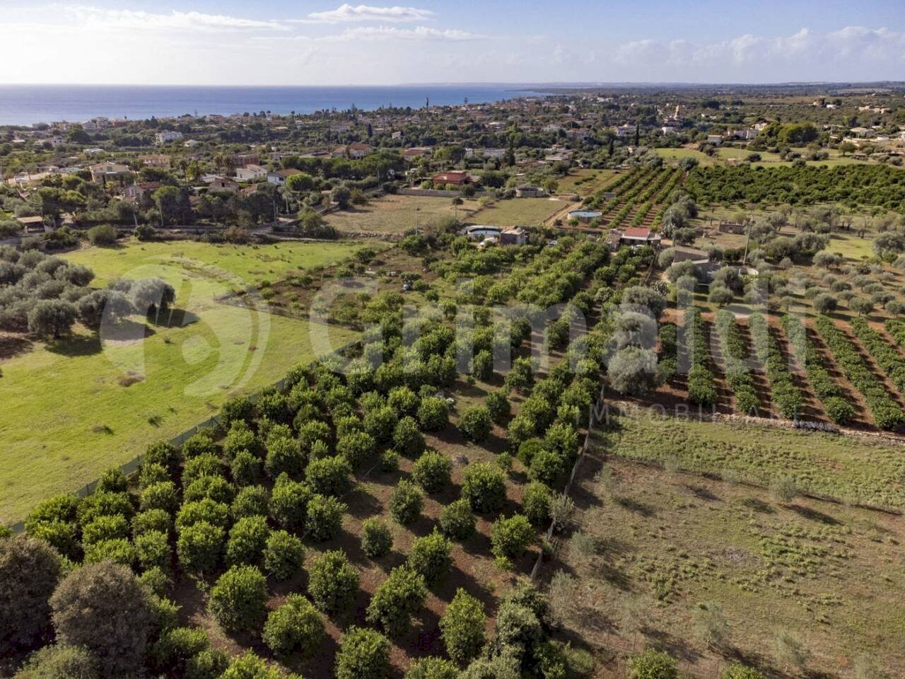 3.jpg - Terreno edificabile Via dulcamara 45, Noto - foto 3