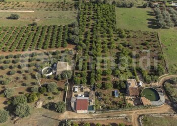 1.jpg - Terreno edificabile Via dulcamara 45, Noto - foto 1