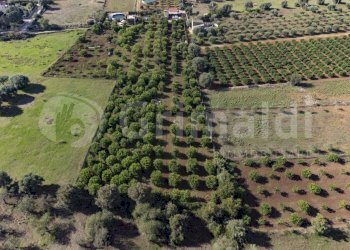 2.jpg - Terreno edificabile Via dulcamara 45, Noto - foto 2