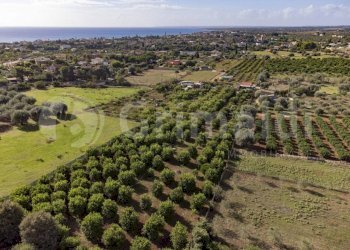 3.jpg - Terreno edificabile Via dulcamara 45, Noto - foto 3