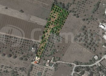 7.jpg - Terreno edificabile Via dulcamara 45, Noto - foto 7